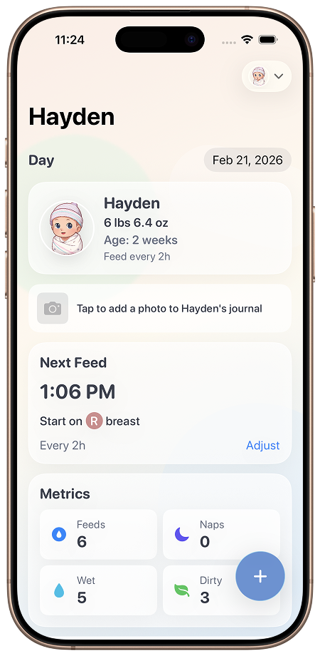 Nuggetracker home screen